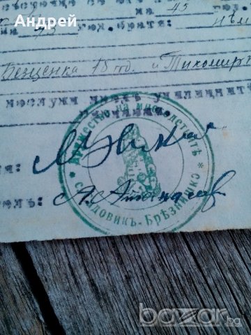 Удостоверение от дружеството на многодетните 1943 г. , снимка 3 - Антикварни и старинни предмети - 19580009