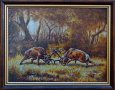 Благородни елени, борба, картина за ловци, снимка 1 - Картини - 24316362