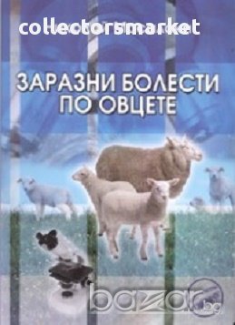Заразни болести по овцете, снимка 1
