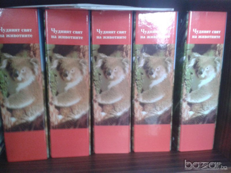 Енциклопедия Чудния свят на животните., снимка 1