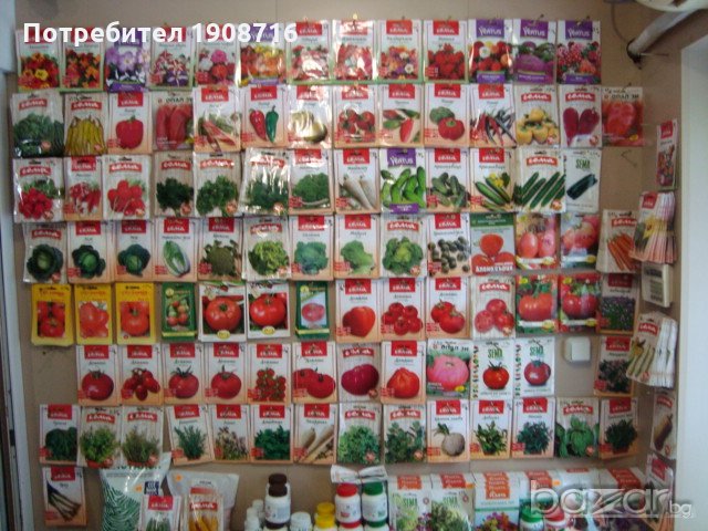 всичко за вашата градина, снимка 3 - Сортови семена и луковици - 20900498