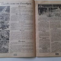СПИСАНИЕ ЗА БИЛКИ И МАГИИ, снимка 6 - Списания и комикси - 19114068