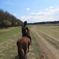 Конна езда Голямо Дряново,Казанлък, снимка 8 - Други спортове - 13686705