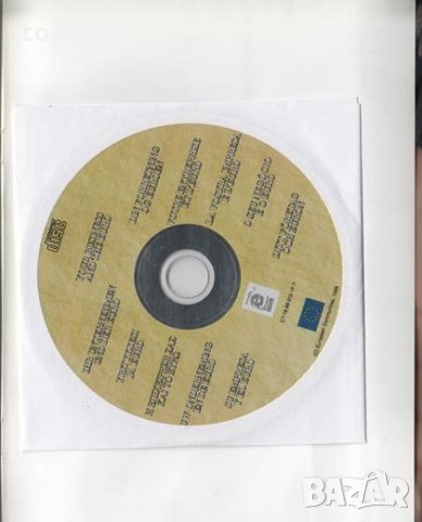 Your Business and the Euro + CD. A Strategic Guide, снимка 2 - Специализирана литература - 23880792