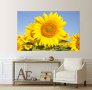 Картина Слънчогледи, картинно пано, картина цветя, канава, декоративно пано от части № 070, снимка 3