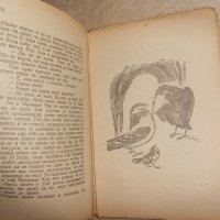 Пътешественик. Приказки за малки и големи. Павел Спасов, снимка 3 - Детски книжки - 23130161