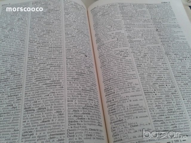 Два стари Немско-Френски речника - 1902-1905г., снимка 4 - Чуждоезиково обучение, речници - 20859948