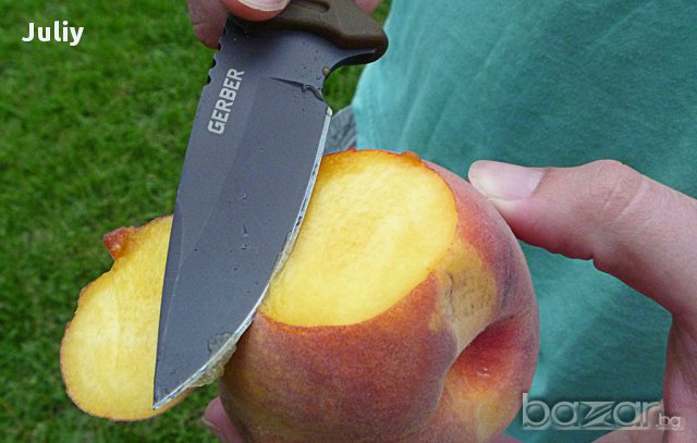 Професионален ловен нож Gerber Myth Fixed Blade Pro, снимка 4 - Ножове - 12021206