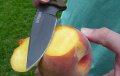 Професионален ловен нож Gerber Myth Fixed Blade Pro, снимка 4
