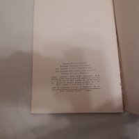 Завръщането на инженер Надин - Андрей Гуляшки, снимка 3 - Художествена литература - 24057564