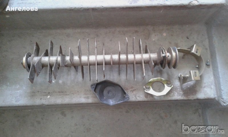 Ос, снимка 1