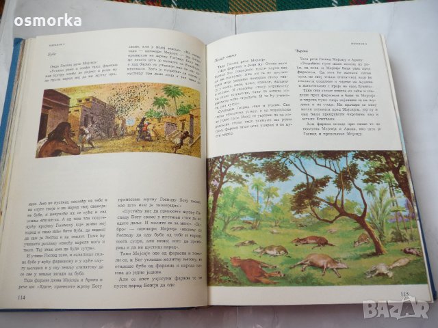 Илустрована библиja за младе - Библия в картинки за деца    , снимка 3 - Специализирана литература - 23353394