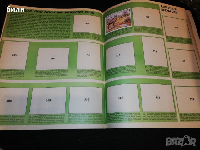 WWF PANINI , снимка 6 - Списания и комикси - 24708508