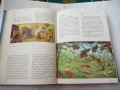 Илустрована библиja за младе - Библия в картинки за деца    , снимка 3