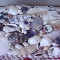 Стара морска кутия за бижута, снимка 3 - Антикварни и старинни предмети - 17501170