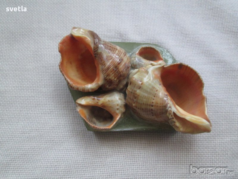 Пепелник от раковини-сувенир, снимка 1