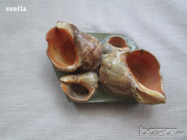 Пепелник от раковини-сувенир