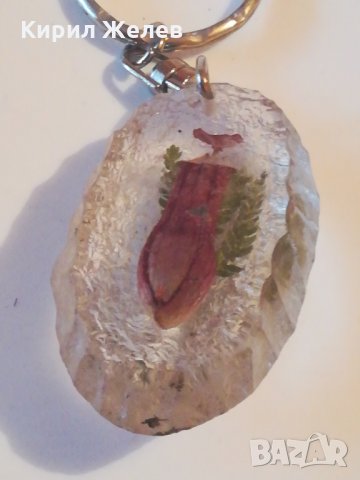 Ключодържател хербарий-154, снимка 2 - Други ценни предмети - 24601830