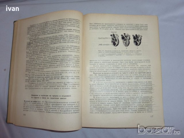 Физиология на селскостопанските животни, снимка 3 - Специализирана литература - 19377023