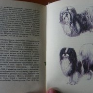 Луксозен каталог за кучета, снимка 4 - Художествена литература - 17373071