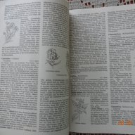 Голяма енциклопедия за растенията от А до Я, снимка 5 - Енциклопедии, справочници - 14108662