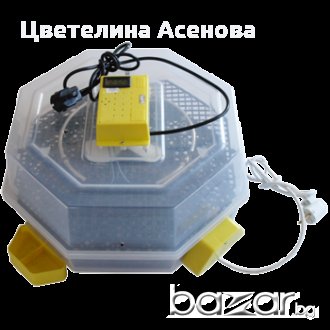 Автоматични Румънски инкубатори , снимка 1