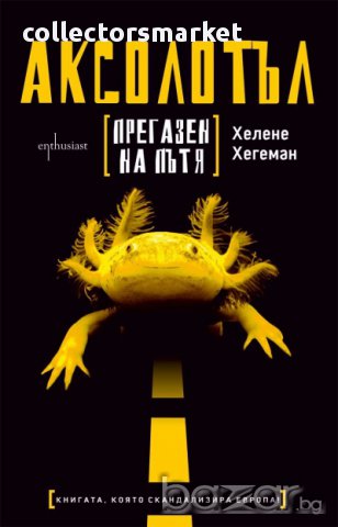 Аксолотъл прегазен на пътя