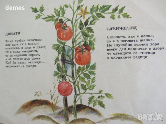  А. Платнер-"Моята градина"-детска книжка, снимка 6 - Детски книжки - 25778777