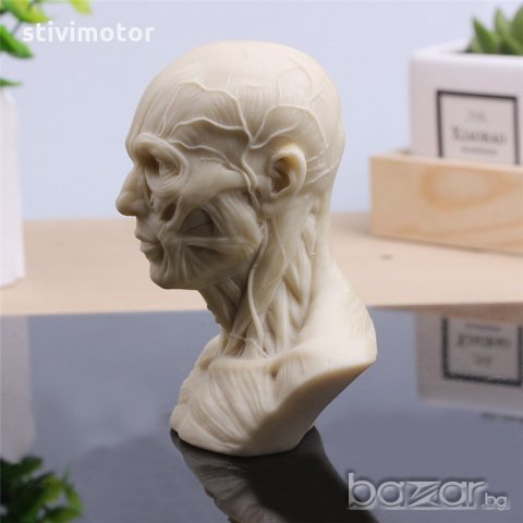 Статуетка 100 % реалистична еко смола ново. , снимка 3 - Подаръци за мъже - 20617082