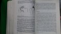 Книги за медицина: „Ръководство по вътрешни болести“ II том – под редакцията на акад.Т.Ташев и др., снимка 16