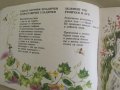  А. Платнер-"Моята градина"-детска книжка, снимка 4