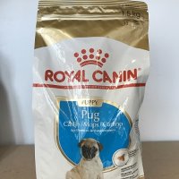 Royal Canin Pug Puppy 1.5кг / Специализирана храна за Мопс Джуниър, снимка 1 - За кучета - 24720671