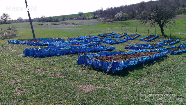 Продавам Органична  течна тор от ЧКЧ !!! Производител !!! , снимка 9 - Сортови семена и луковици - 17315367