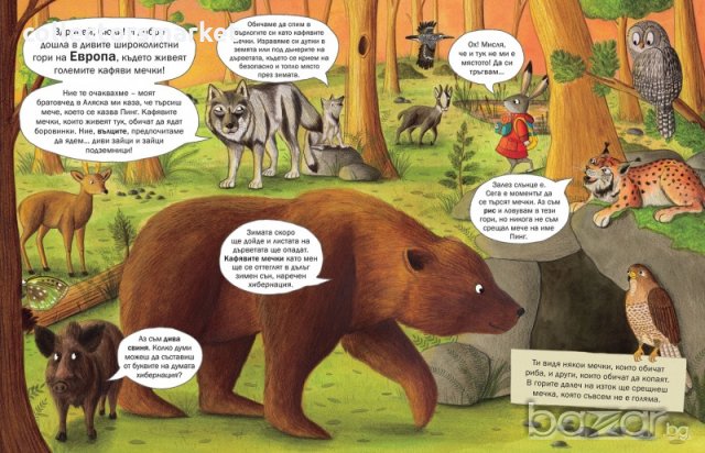 Къде е мечето?, снимка 3 - Детски книжки - 20110108