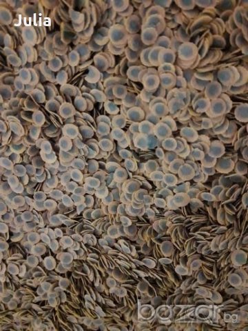 Тетра Про Алги- насипна храна за декоративни рибки, снимка 3 - Рибки - 21343021