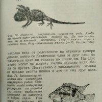 Необикновеното при животните - Зденек Веселовски, снимка 3 - Специализирана литература - 23833730
