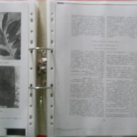 Ксерокопие на книгата „Дървета и храсти в горите на България“, снимка 3 - Художествена литература - 11961021