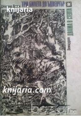 Три билета до Ъдвенчър. Двама в степта , снимка 1