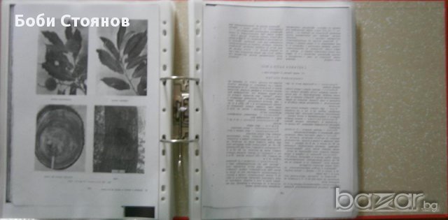 Ксерокопие на книгата „Дървета и храсти в горите на България“, снимка 3 - Художествена литература - 11961021