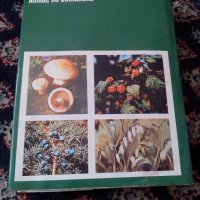 Книга Атлас по Ботаника, снимка 4 - Антикварни и старинни предмети - 22779481