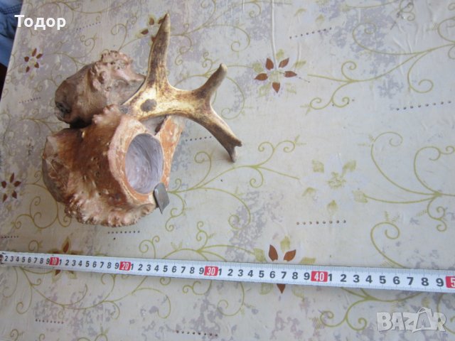 Уникален ловен пепелник 3 Райх, снимка 3 - Колекции - 25879160