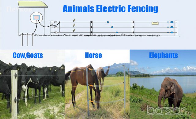 Електропастир 3 модела. Електрическа ограда за животни и крадци. , снимка 6 - За селскостопански - 11774091