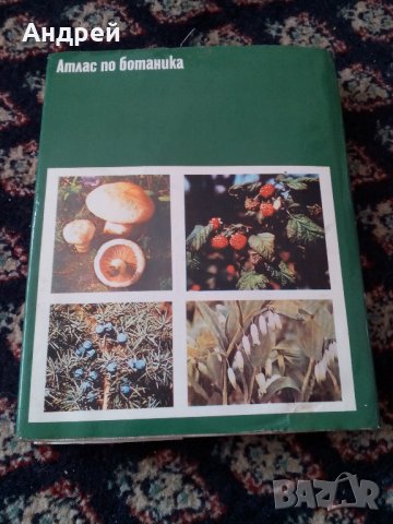 Книга Атлас по Ботаника, снимка 4 - Антикварни и старинни предмети - 22779481
