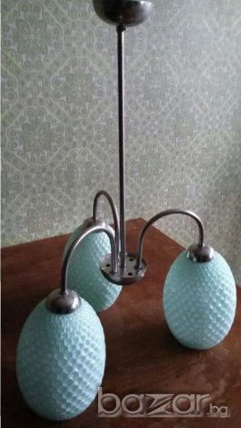 Полилей четри вида, снимка 2 - Полилеи - 15804371