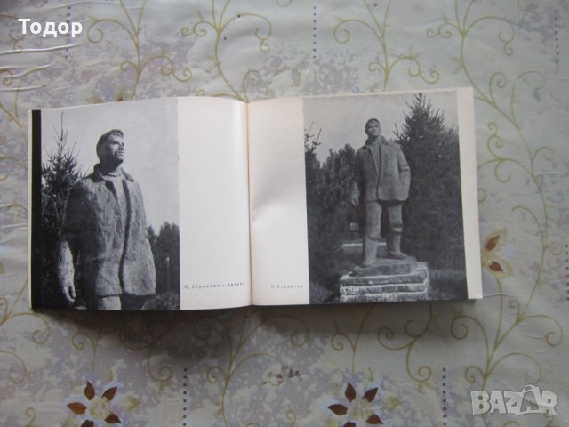 Стара книга Георги Апостолов 1968 албум, снимка 7 - Специализирана литература - 25744081