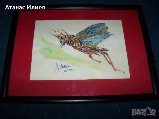 "Насекомо" 1 картина на худ. Десислава Илиева, снимка 6 - Картини - 24715537