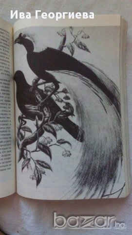 Плаването на Челинджър - Ерик Линклейтър, снимка 3 - Художествена литература - 13457958