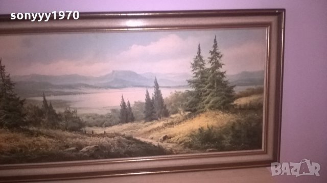 голяма картина-нов внос, снимка 7 - Колекции - 25769050