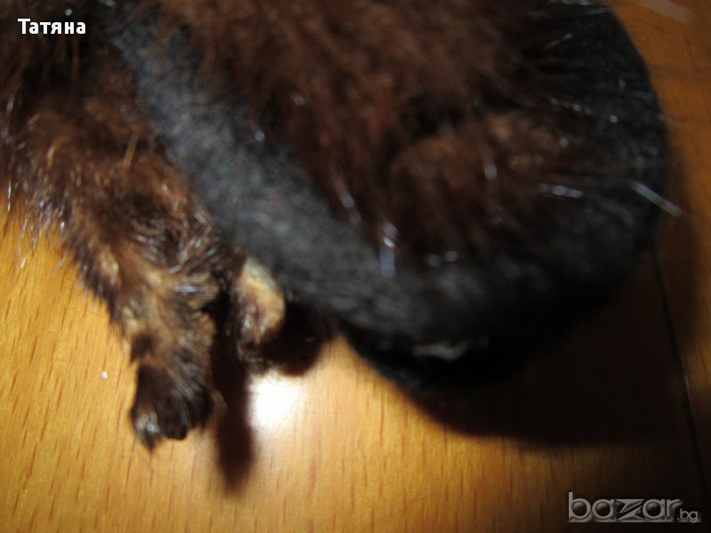 ЯКА, снимка 1