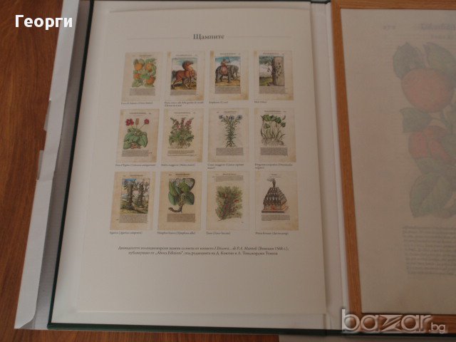 12 колекционерски щампи "I DISCORSI DI P.A. MATTIOLI", снимка 3 - Антикварни и старинни предмети - 16797637